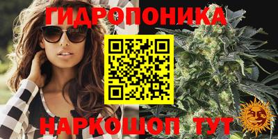 прущие крисы Бузулук