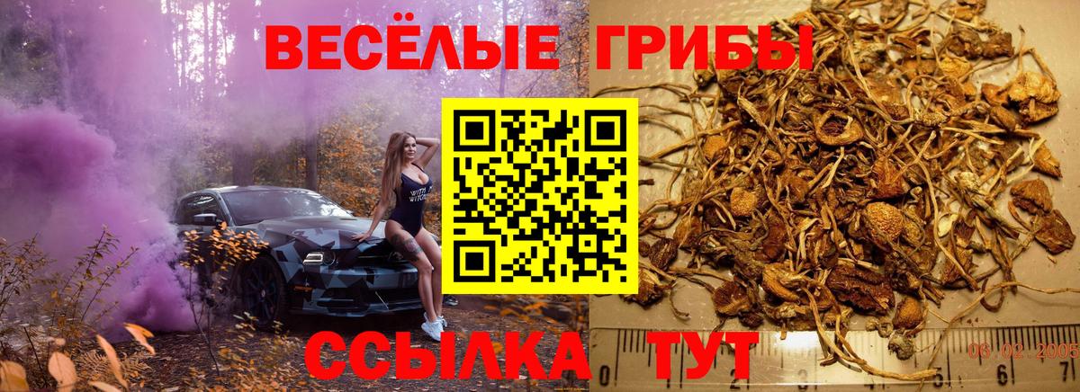 Псилоцибиновые грибы мухоморы Лысьва